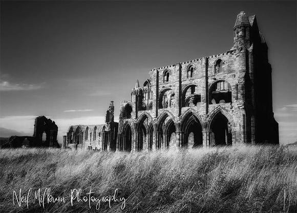 Whitby Abby